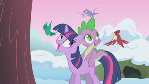 Winter Wrap Up 